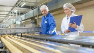 Купить диплом технолога Диплом технолога